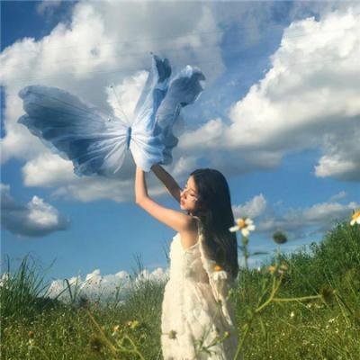 鲁豫有约一日行 第十二季